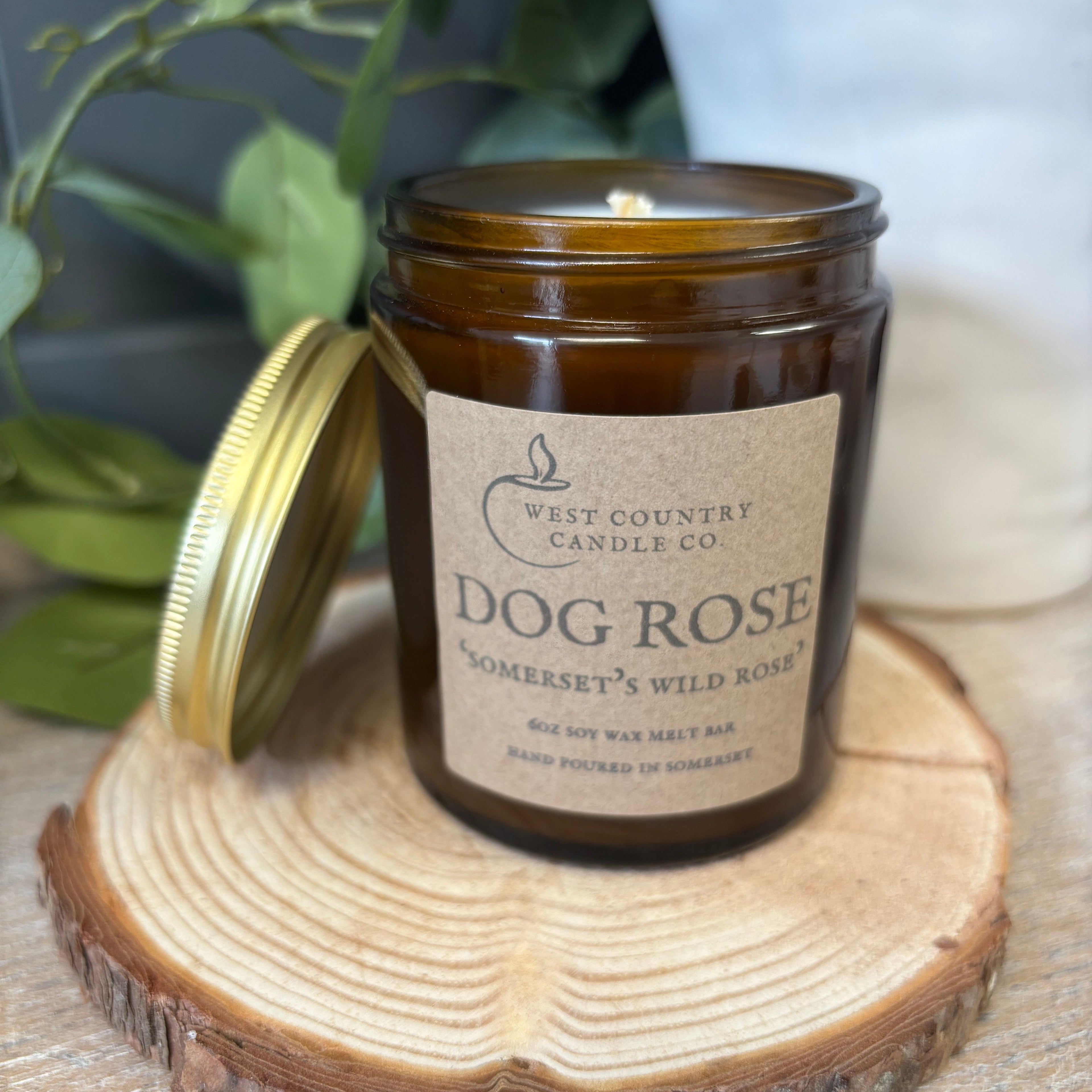 Dog Rose 'Somerset's Wild Rose' - Rose & Oud - Soy Candle