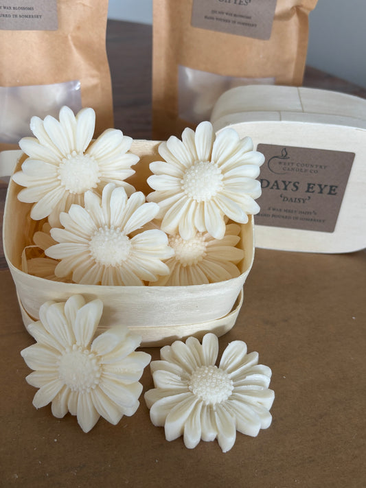 Days Eye 'Daisy' 6 wax melt daisy's