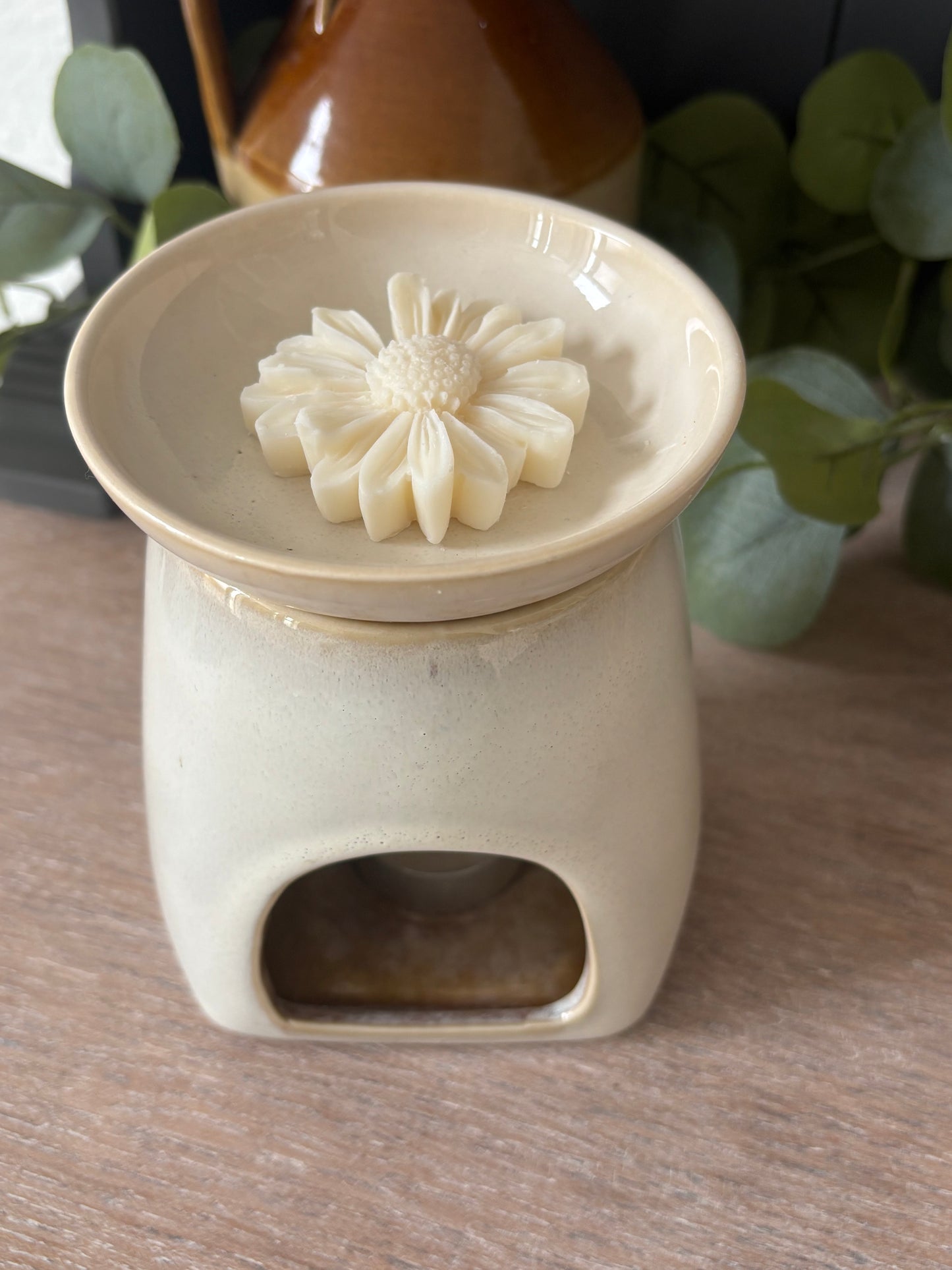 Days Eye 'Daisy' 6 wax melt daisy's